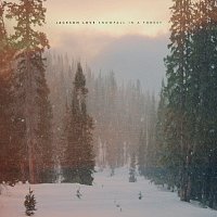 Jackson Love – Snowfall in a Forest