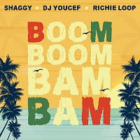 DJ Youcef, Shaggy, Richie Loop – Boom Boom Bam Bam