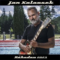 Jan Kalousek – Náhodou 2023 MP3