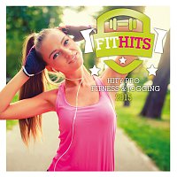 Různí interpreti – Fit Hits 2015