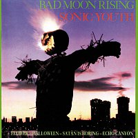 Přední strana obalu CD Bad Moon Rising