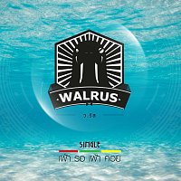 Walrus – Before it's too late