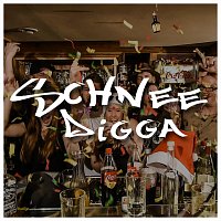 Přední strana obalu CD Schnee Digga