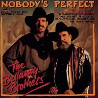 Přední strana obalu CD Nobody's Perfect