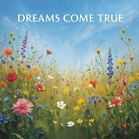 Přední strana obalu CD Dreams Come True
