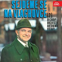 Dechová hudba Antonína Votavy – Sejdeme se na Vlachovce (2) MP3
