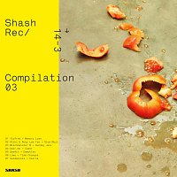 Různí interpreti – Shash Compilation 3