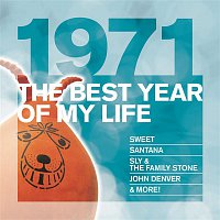 Various  Artists – The Best Year Of My Life: 1971