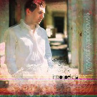 Krzysztof Napiorkowski – Introspekcja