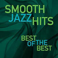 Různí interpreti – Smooth Jazz Hits: Best Of The Best