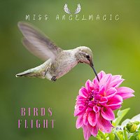Miss Angelmagic – Birds Flight