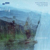 Nate Mercereau, Josh Johnson, Carlos Nino – Openness