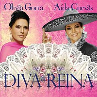 Přední strana obalu CD Diva Y Reina