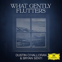 Dustin O'Halloran, Bryan Senti – What Gently Flutters