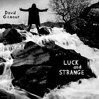 David Gilmour – Luck and Strange CD