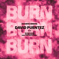 David Puentez – Burn [Acoustic Version]