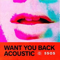 5 Seconds of Summer – Want You Back [Acoustic]