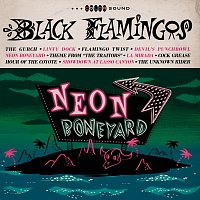 Black Flamingos – Neon Boneyard