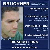 Bruckner unknown