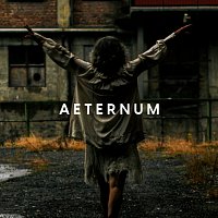Nicholas Sillitoe, Anne Marie Almedal, Remy van Kesteren – Aeternum