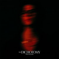 David Kushner – The Dichotomy