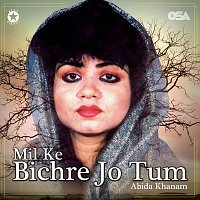 Mil Ke Bichre Jo Tum – Mil Ke Bichre Jo Tum