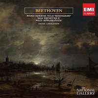 Beethoven Piano Sonatas (The National Gallery Collection)