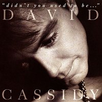 David Cassidy – Didn't You Used To Be...