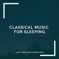 Chris Snelling, Nils Hahn, Robyn Goodall, Amy Mary Collins, Max Arnald – Classical Music for Sleeping: 14 Soft and Relaxing Classical Pieces
