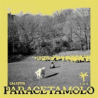 Calcutta & TY1 – Paracetamolo (TY1 Remix)