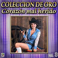 Přední strana obalu CD Colección De Oro: Reventón De Bandas, Vol. 3 – Corazón Mal Herido