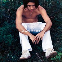 Fern. – Whatever This Is