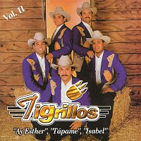 Los Tigrillos – Los Tigrillos Vol. II