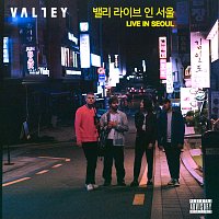Valley – Live In Seoul