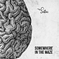 Satuo – Somewhere in the Maze