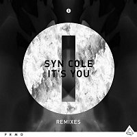 Syn Cole – It's You Remixes