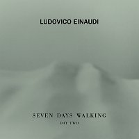 Ludovico Einaudi – Birdsong