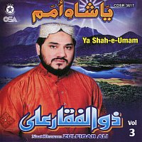 Zulfiqar Ali – Ya Shah-e-Umam, Vol. 3