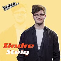 Sindre Steig – Used To Be [Fra TV-Programmet "The Voice"]