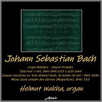 Bach: Orgel-Büchlein - Choral Preludes ’ Selection’ 1-45, Bwv 599-633 e 635-644 - Canonic Variation on ’Vom Himmel hoch, da komm ich her’, Bwv 769a - Meine Seele erhabt den Herren (Magnificat), Bwv 733 [Live]