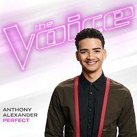 Anthony Alexander – Perfect [The Voice Performance]