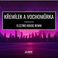 Juwe – Pohádky Z Mechu A Kapradí (Electro House Remix) MP3