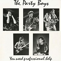 The Party Boys – You Need Professional Help