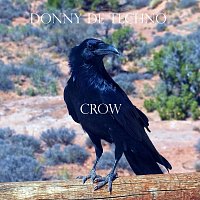Přední strana obalu CD Crow