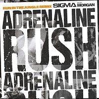 Přední strana obalu CD Adrenaline Rush [Run In The Jungle Remix]