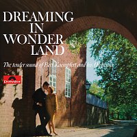 Přední strana obalu CD Dreaming In Wonderland [Remastered]