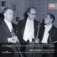 Leonid Kogan, Rudolf Baršaj, Mstislav Rostropovič – Beethoven: Smyčcová tria. Russian Masters