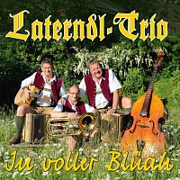 Laterndl Trio – In voller Bluah (Hoamatmusi 2)