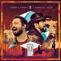 Fernando & Sorocaba – Dói (Ao Vivo)