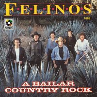 Přední strana obalu CD A Bailar Country Rock
